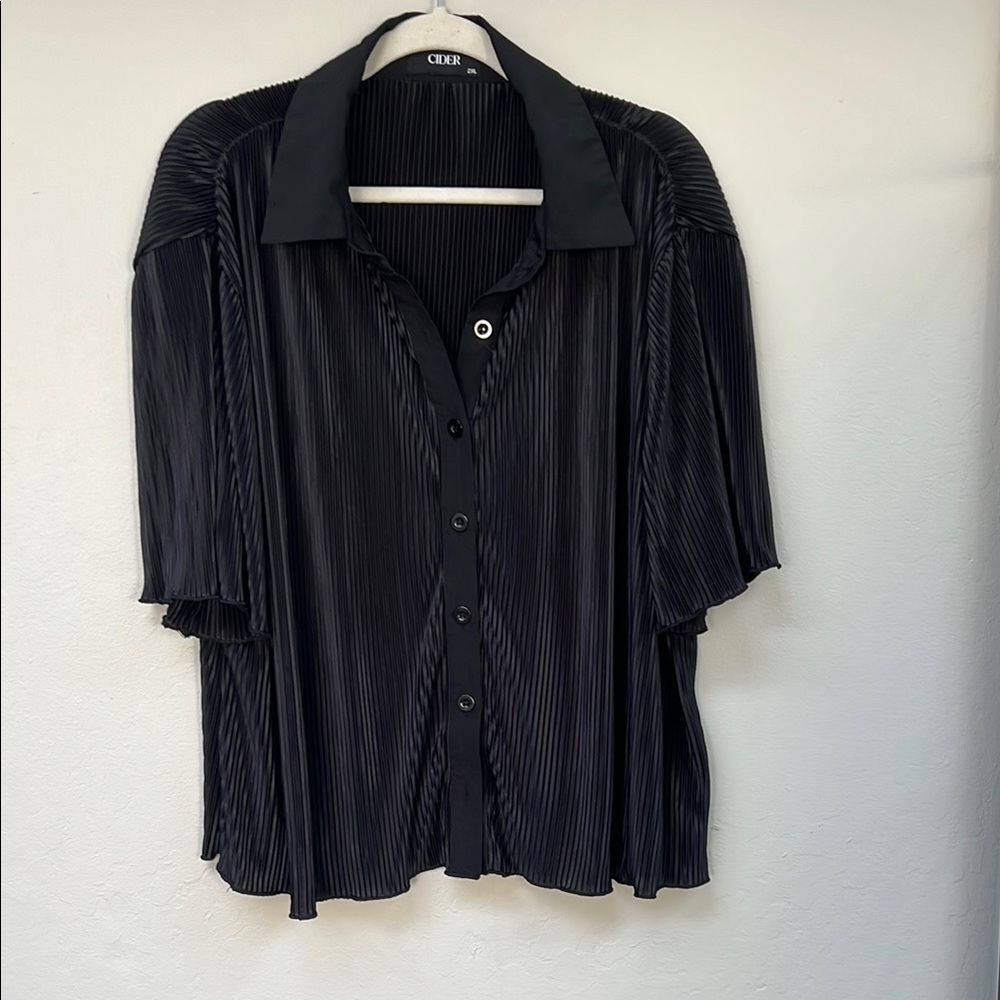 Cider Black Pleated Button-Up Blouse